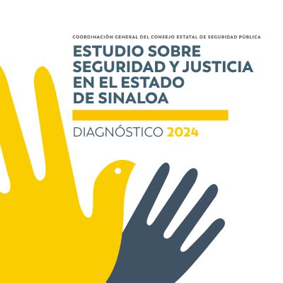 Diagnóstico 2024 descarga portada