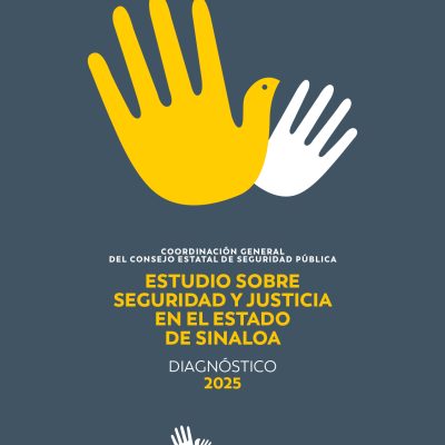 PORTADA_Diagnostico completo 2025.jpg